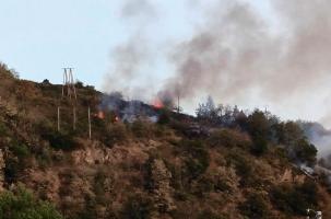 L'incendie à Retournac a ravagé 5 000 m² d'arbres et de végétation. 