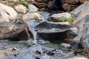À la sortie du lagunage dans le village de Pralhac à Loudes. Pollution