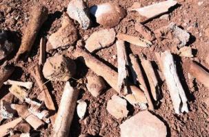Une partie des ossements retrouvés dans la carrière de Montbonnet.