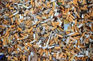 Des centaines de mégots sont ramassés à chaque édition de plogging.