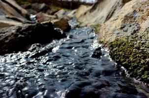 Une pollution organique présente des mois durant dans le lagunage de Pralhac à Loudes.