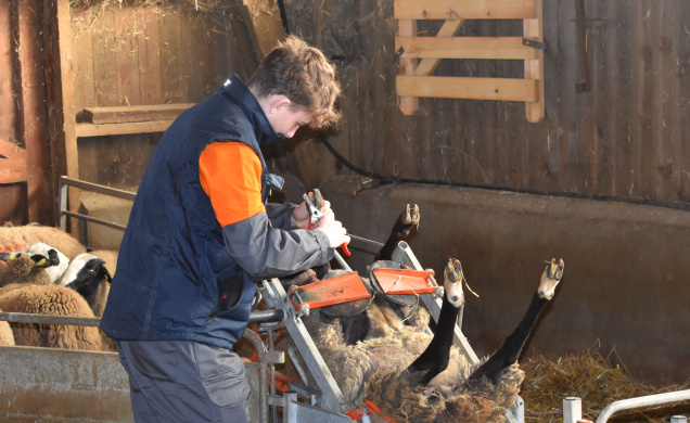 Une manucure un peu spéciale : la parure des onglons