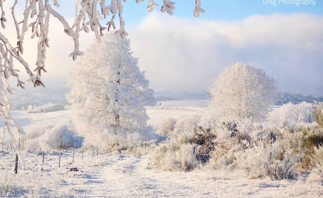 Cette nuit du 6 janvier 2026 a transformé la Haute-Loire en un royaume glacé. 
