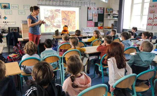 Aurore Treille, experte sur la vie des abeilles