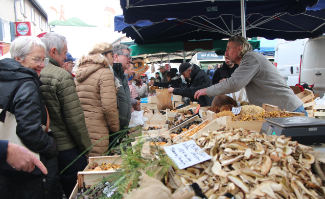 Les étals sont garnis de champignons