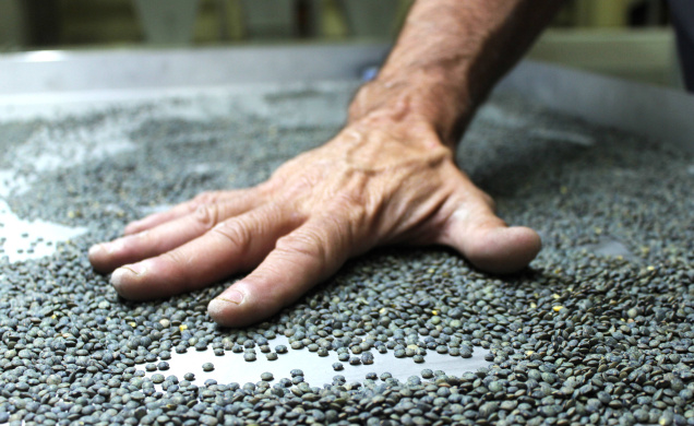 La qualité des produits Sabarot n'est plus à prouver.