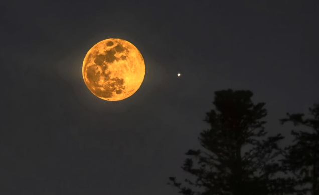 Dans ciel Yssingelais, en ce 14 janvier 2025, la Lune pousse son hurlement silencieux.