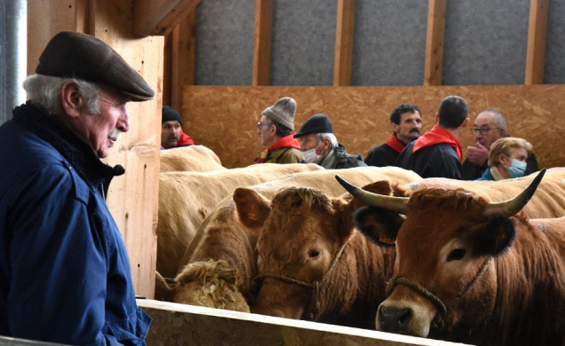 L'excellence de la production française VS des produits étrangers moins chers, sans normes