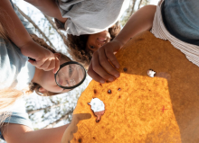 Tous au Compost' : jeu de piste_Le Puy-en-Velay