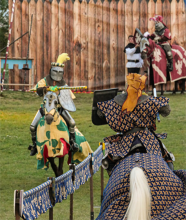 EVE_Spectacle équestre : le tournoi du Roi_Polignac