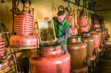 J.E.P : Visites de la Distillerie de la Verveine du Velay Pagès_Saint-Germain-Laprade
