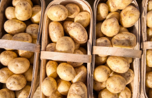 31ème foire à la Patate_Solignac-sur-Loire