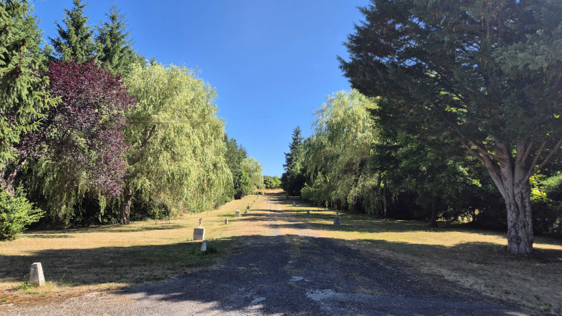 Le parc et ses immenses arbres