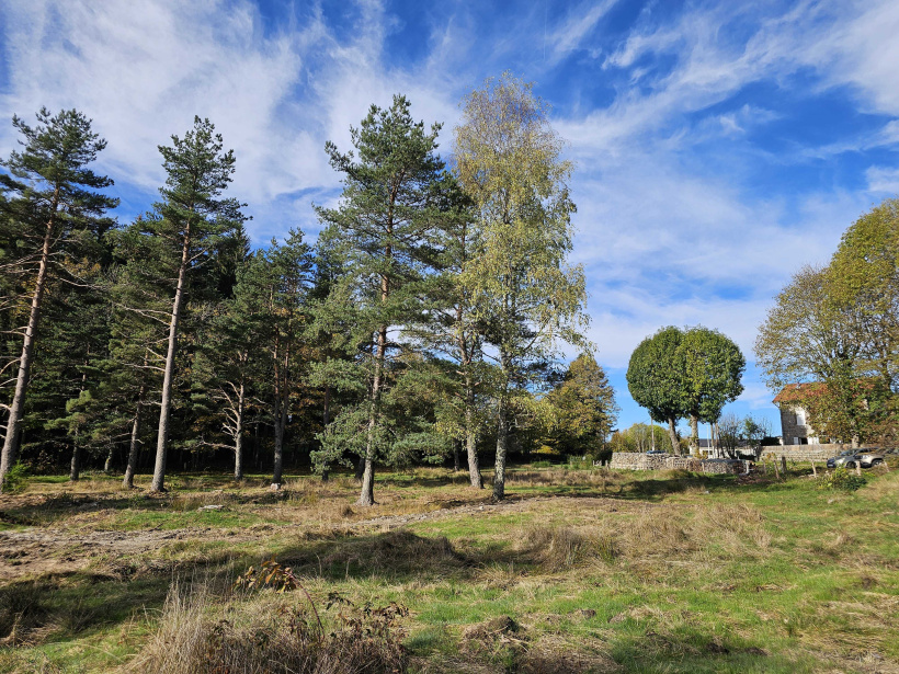 D'ici un an, l'herbe aura reverdi la zone humide.