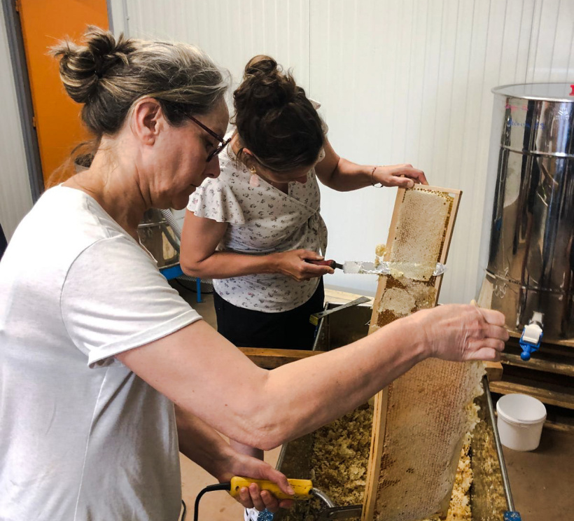 C'est l'heure de la récolte du miel 