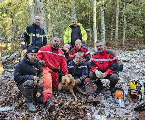 Le chien de chasse et ses sauveurs