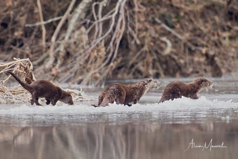 C'est parti pour une matinée de chasse aux écrevisses. 