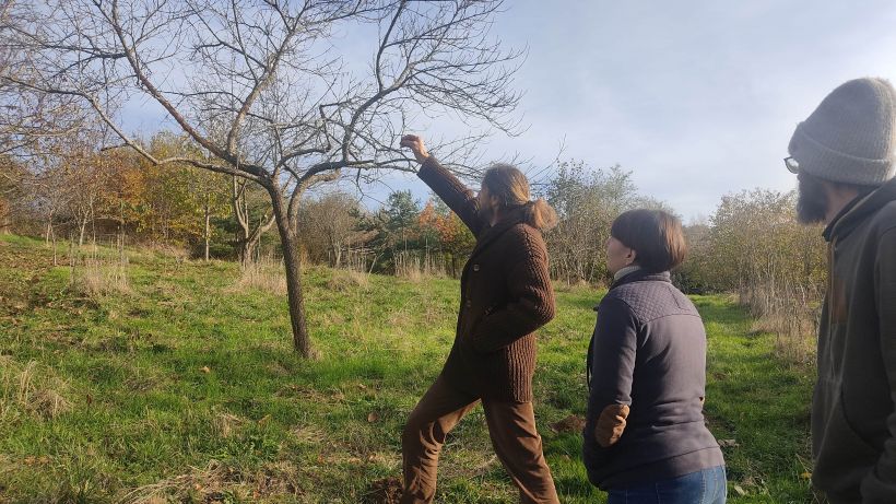 Jardin du futur : permaculture issoire