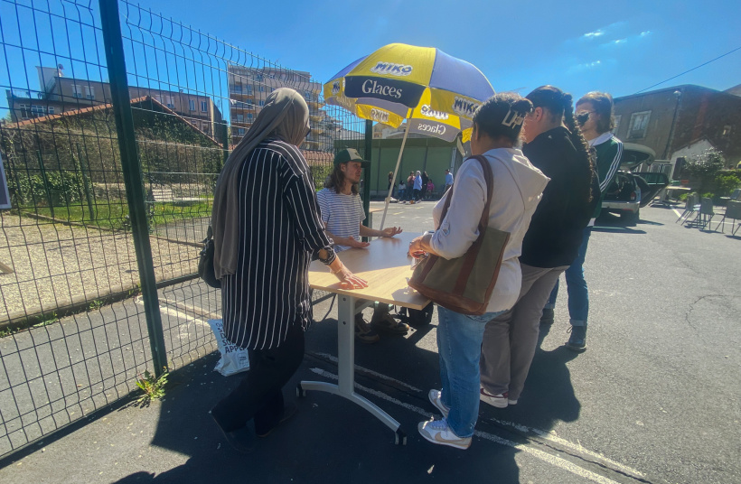 A la découverte des insectes