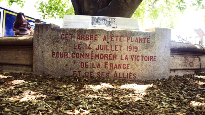 La plaque au pied de l'arbre de la Victoire