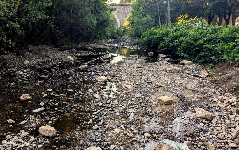 L'état dramatique de la rivière Arzon dans la commune de Vorey. 