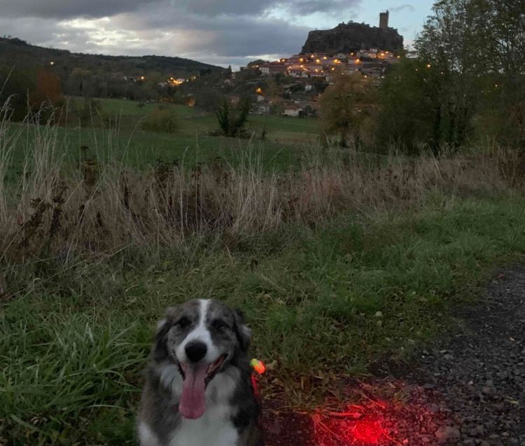 Une rando pour ces animaux bien plus humains que certains humains.