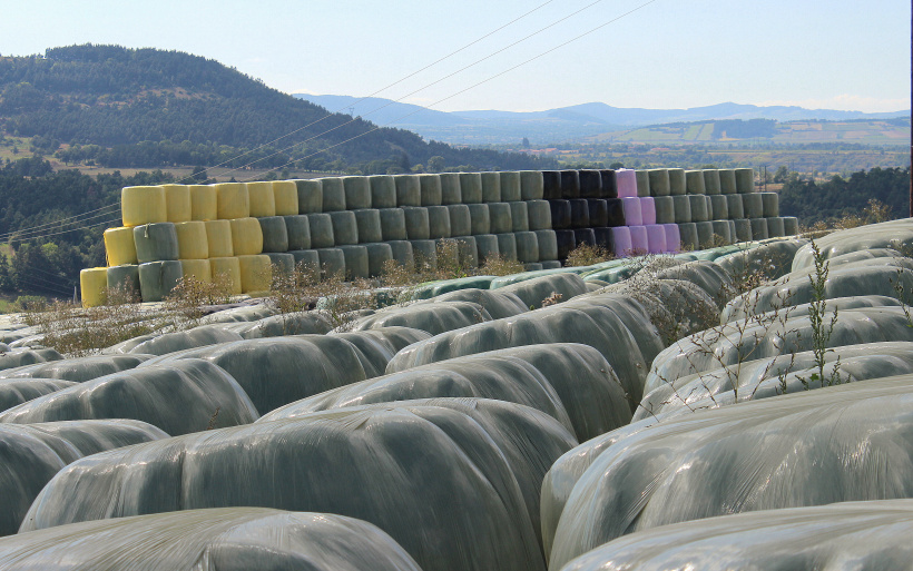 Les plastiques... véritable fléau pour la nature. 