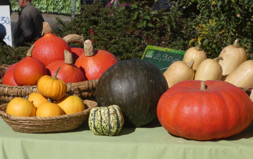 Les produits AB sont la garantie d'une alimentation saine et sans pesticides. 