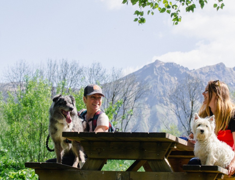 Qualidog sancy