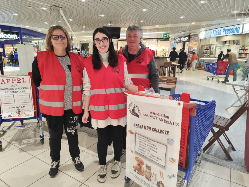 collecte pour les animaux
