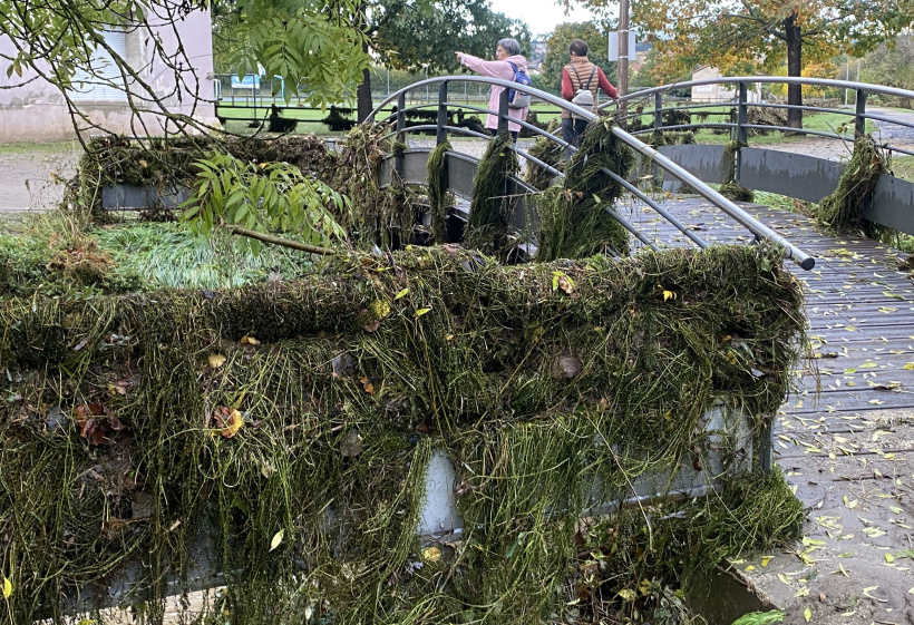 Coté rive gauche, l'eau est montée très haut, aussi. 