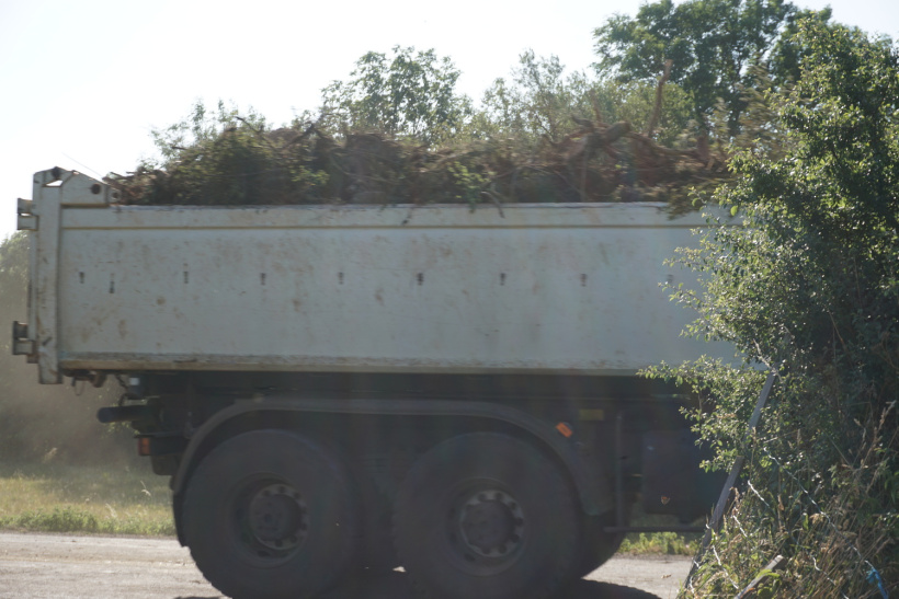 Les camions qui ont transporté les haies après leur destruction