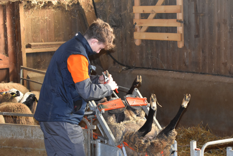 Une manucure un peu spéciale : la parure des onglons