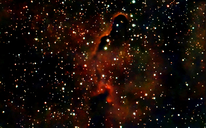 La Trompe de l'Eléphant, nuage sombre qui serpente dans la constellation de Céphée. 