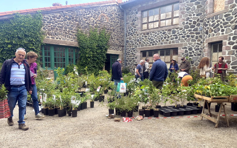 Les visiteurs ont un vaste choix de plantes en tout genre