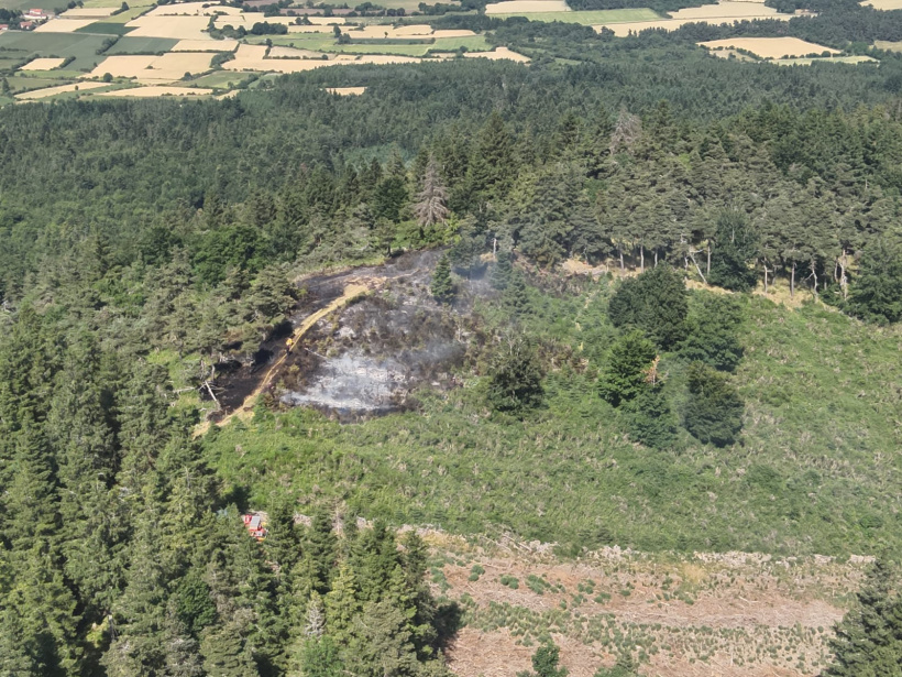 Un hectare de chablis a brûlé au Mont Velay
