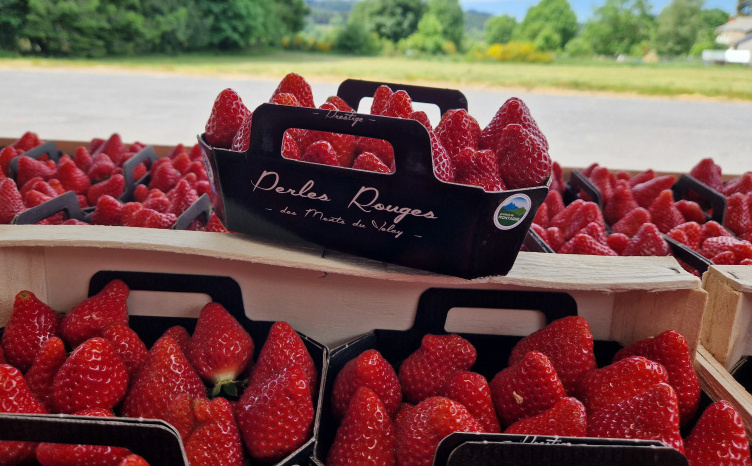Des fruits qui annoncent leur retour tant attendu du soleil. 