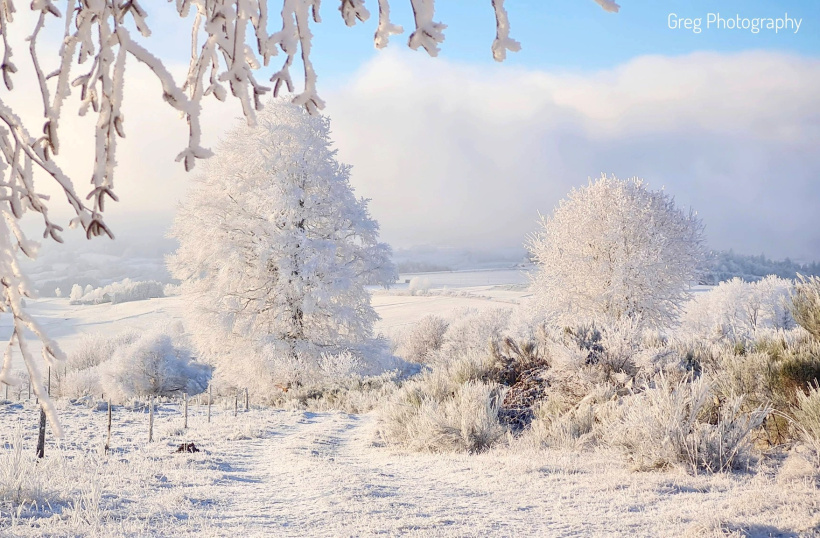 Cette nuit du 6 janvier 2026 a transformé la Haute-Loire en un royaume glacé. 