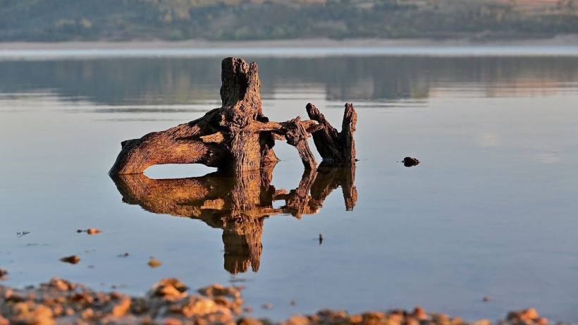 Une créature de Naussac enlace son propre reflet. 