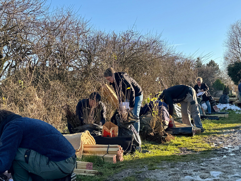 Pacte de la haie, les agriculteurs choisissent leurs futurs plants