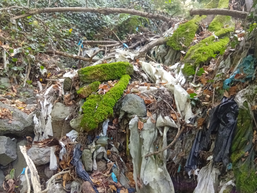 Des déchets en cascade