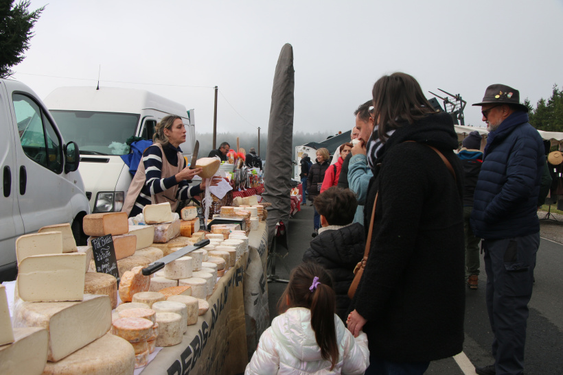 Du fromage à la dégustation