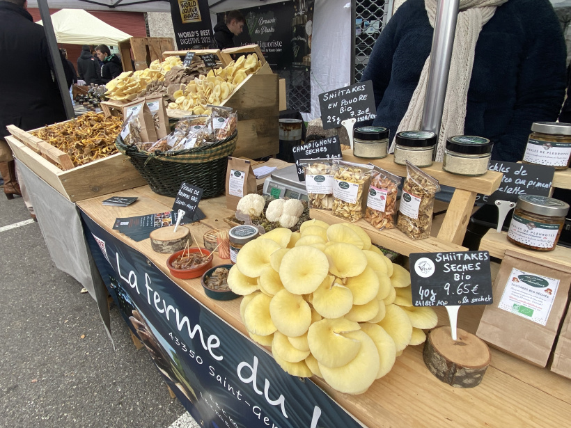 Des champignons peu connus