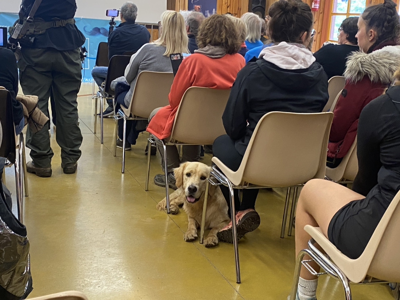Nos amis à quatre pattes ont également participé à la randostache