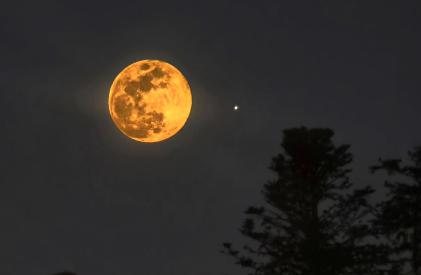 Dans ciel Yssingelais, en ce 14 janvier 2025, la Lune pousse son hurlement silencieux.