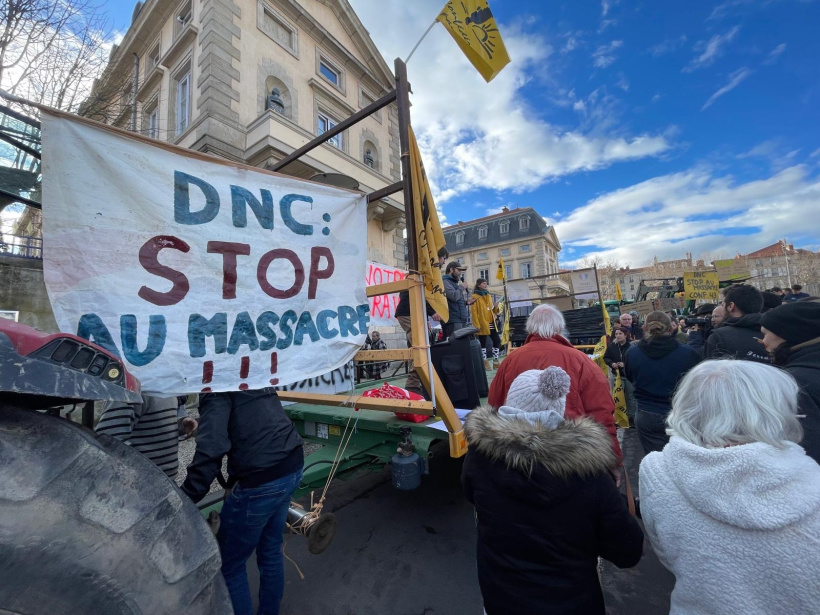 "Stop au massacre" écrit en lettre capitale