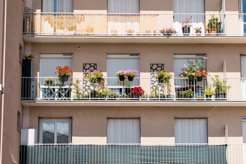 Visible des rues, les fleurs s'exposent dans la ville