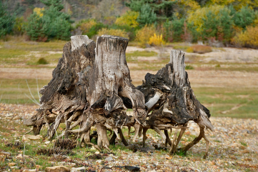 Où va cette famille qui galope si vite ? 
