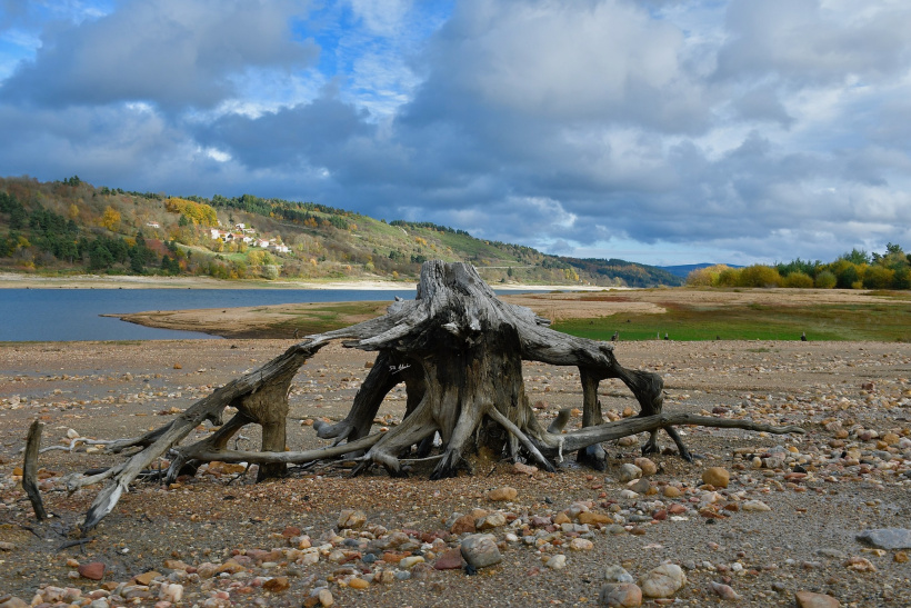 Et vous ? Que voyez-vous ? 