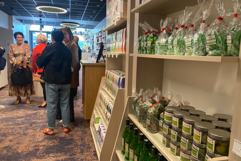 La verveine sous toutes ses formes